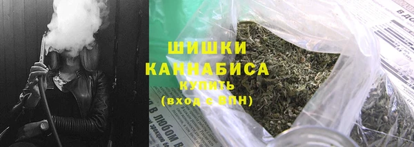 гашик Козловка