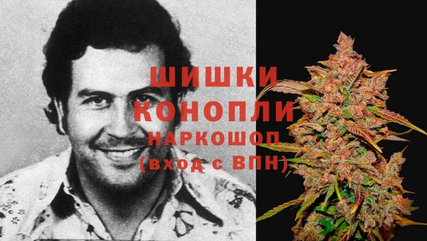 кокс Козельск