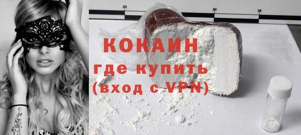 гашик Козловка