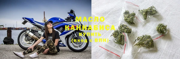 гашик Козловка