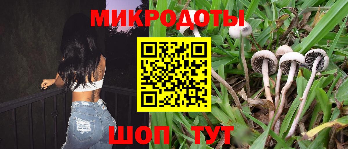 Псилоцибиновые грибы GOLDEN TEACHER  Галлюциногенные грибы мицелий  цены наркотик  Уссурийск 