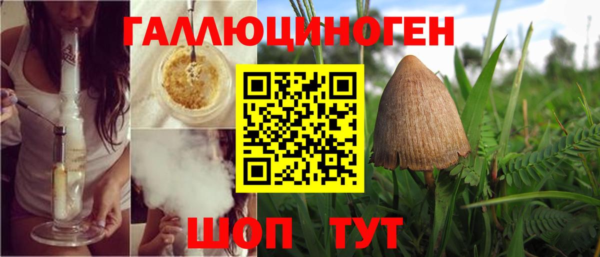 где найти   Псилоцибиновые грибы мухоморы  Вход с VPN  Уссурийск  Галлюциногенные грибы Magic Shrooms 