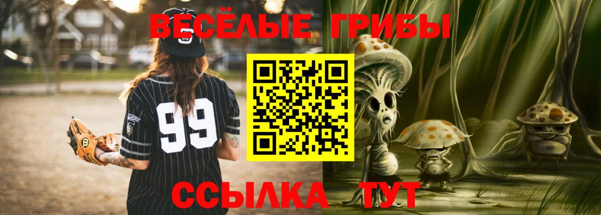 Галлюциногенные грибы Psilocybine cubensis Уссурийск